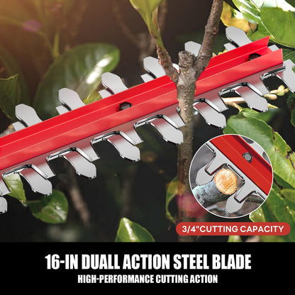 20V Cordless Pole Hedge Trimmer With 16-Inch Blades, 2 2.0Ah Batteries And Charger